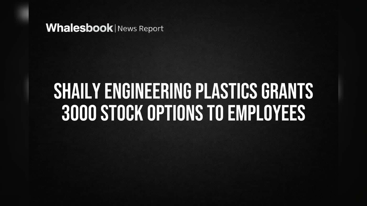 Shaily Engineering Plastics Grants 3000 Stock Options to Employees