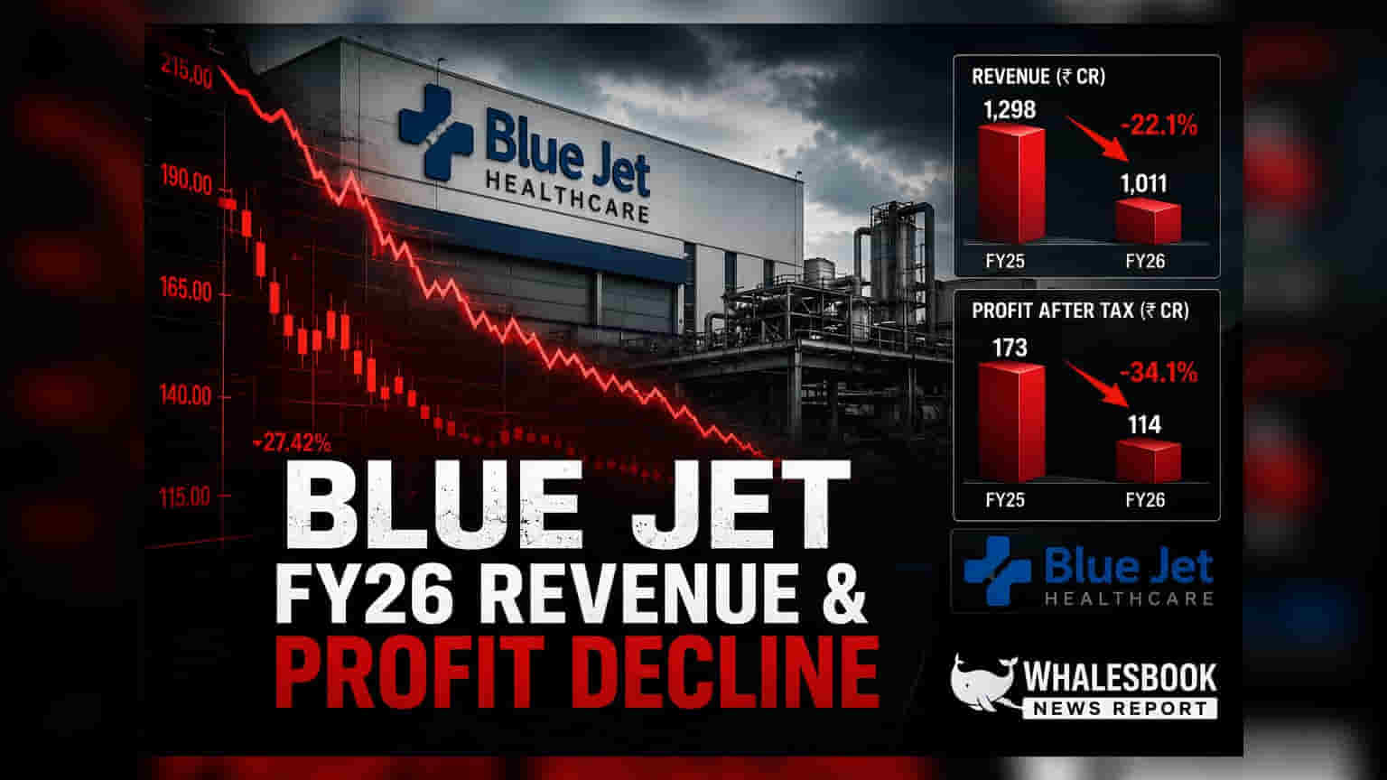 Blue Jet Healthcare FY26 Results: આવકમાં 8% ઘટાડો, નફામાં 18.8%નો કડાકો