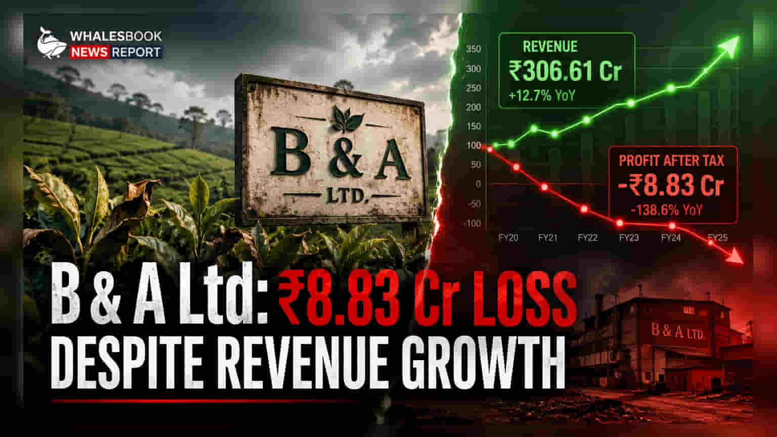 B & A Ltd શેર: રેવન્યુ વધી પણ નુકસાનમાં આવી કંપની, જાણો શું છે કારણ