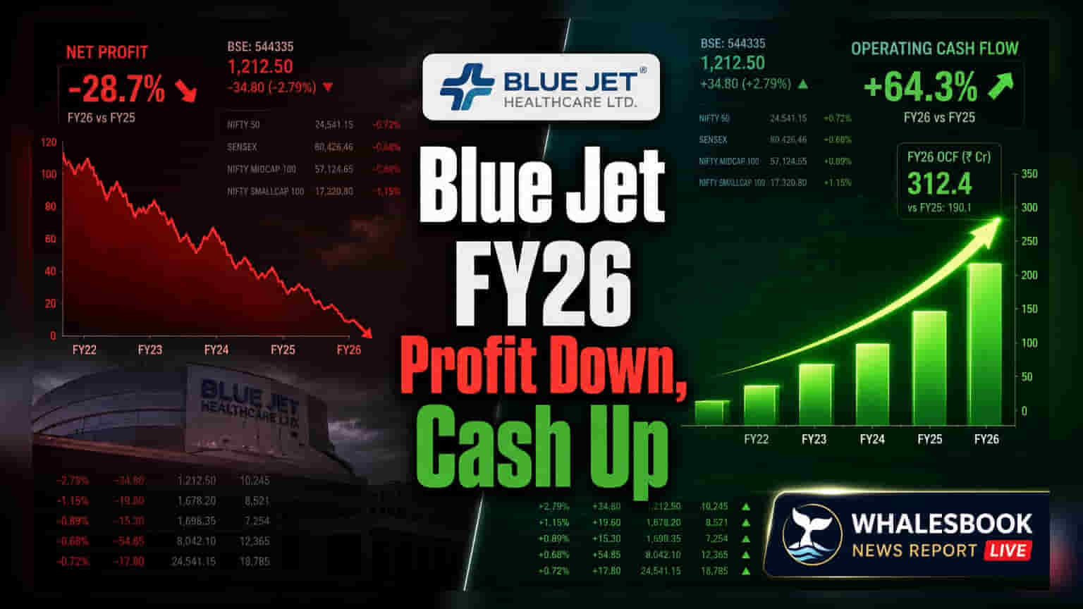 Blue Jet Healthcare: નફામાં 18.8% ઘટાડો, પણ ઓપરેટિંગ કેશ ફ્લોમાં 6 ગણો ઉછાળો!