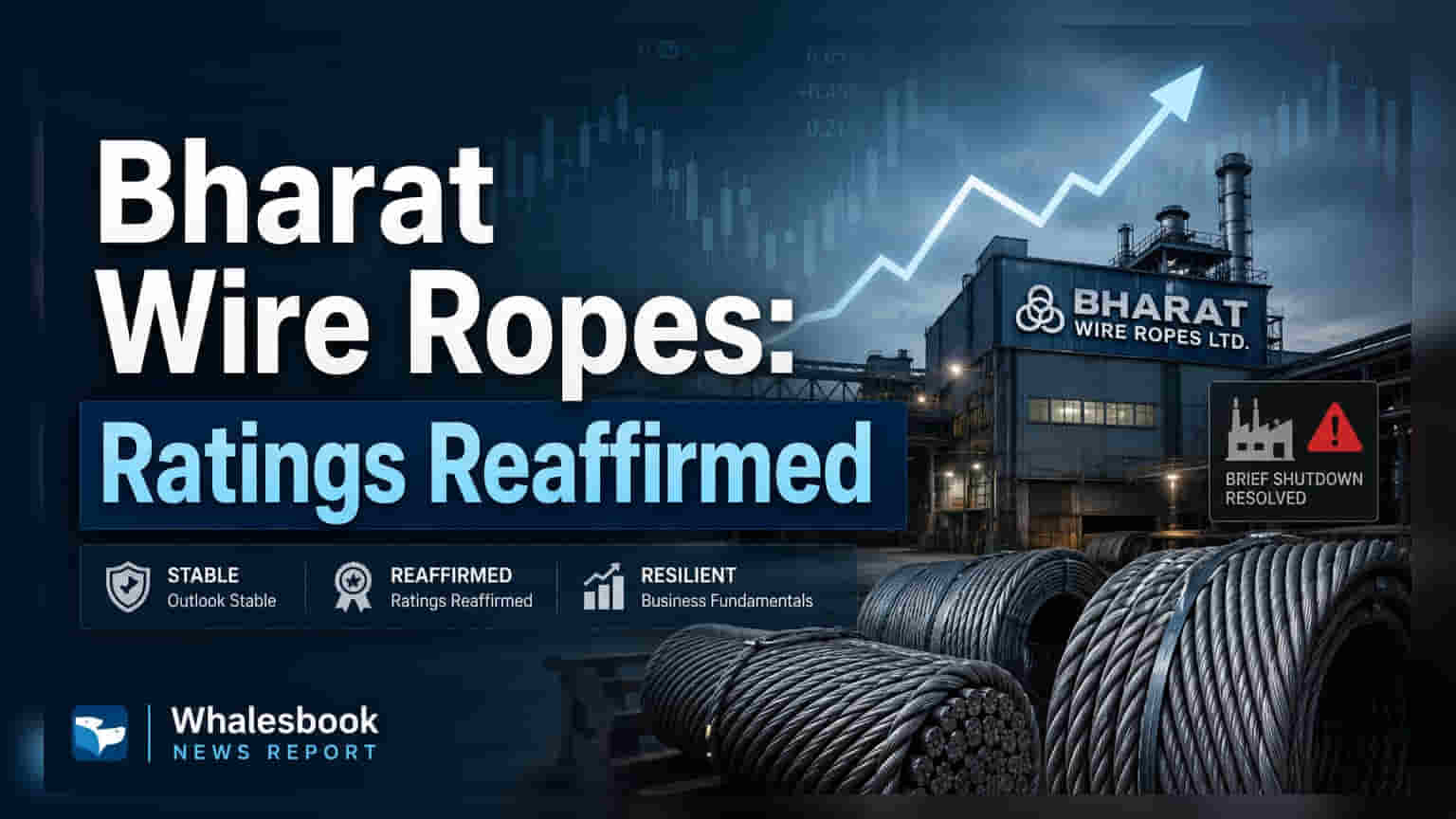 Bharat Wire Ropes Share: ક્રેડિટ રેટિંગ યથાવત, પણ રેવન્યુમાં ઘટાડો અને પ્લાન્ટ બંધ થતાં ચિંતા