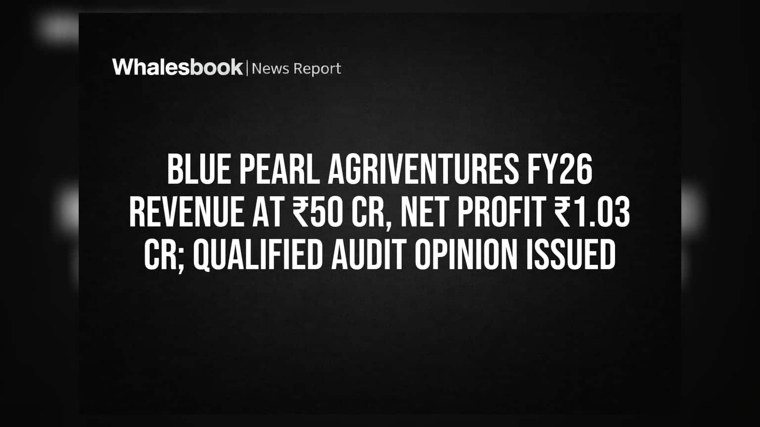 Blue Pearl Agriventures FY26: ₹50 Cr की कमाई, ₹1.03 Cr मुनाफा, पर ऑडिटर की 'क्वालिफाइड ओपिनियन' ने बढ़ाई चिंता