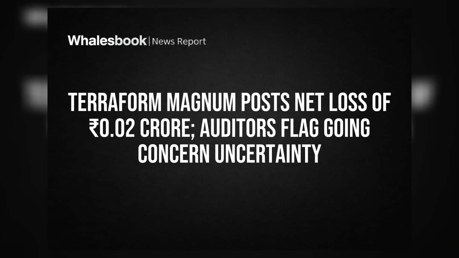 Terraform Magnum Share: ₹0.02 કરોડનો ચોખ્ખો નુકસાન, ઓડિટર્સની 'ગોઇંગ કન્સર્ન' પર ચિંતા