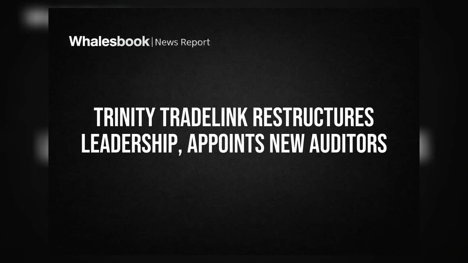 Trinity Tradelink Ltd: કંપનીમાં મોટા ફેરફારો! નવા MD, CFO અને ઓડિટરની નિમણૂક