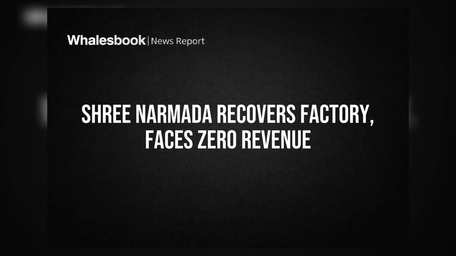 Shree Narmada Aluminium: कारखान्यावर ताबा परत, पण कमाई शून्य! कंपनी संकटात?