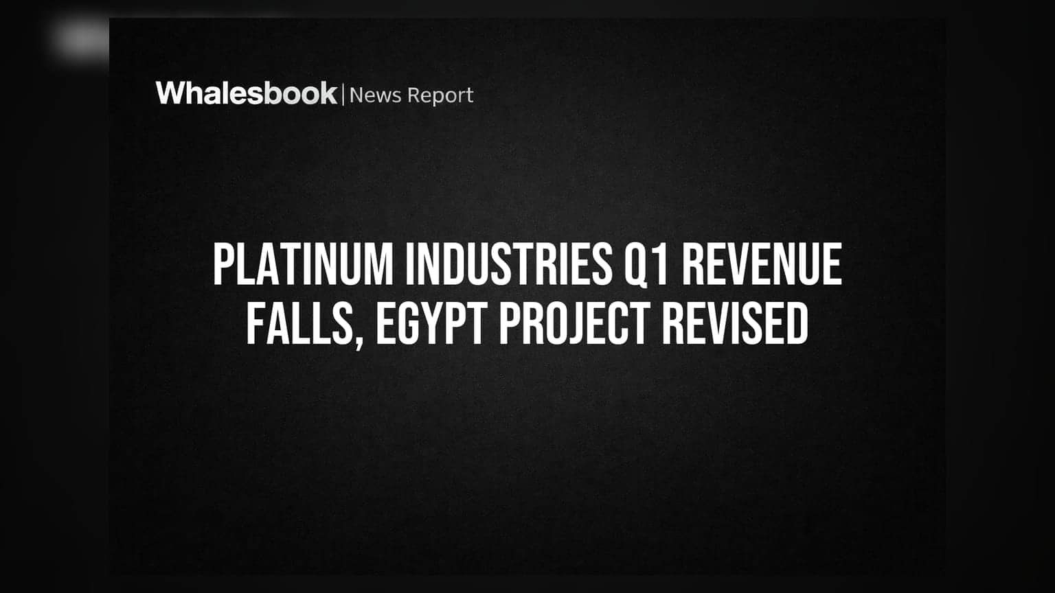 Platinum Industries: आमदनी 5.6% गिरी, Egypt प्लांट पर भी बड़ा असर, निवेशक क्या करें?