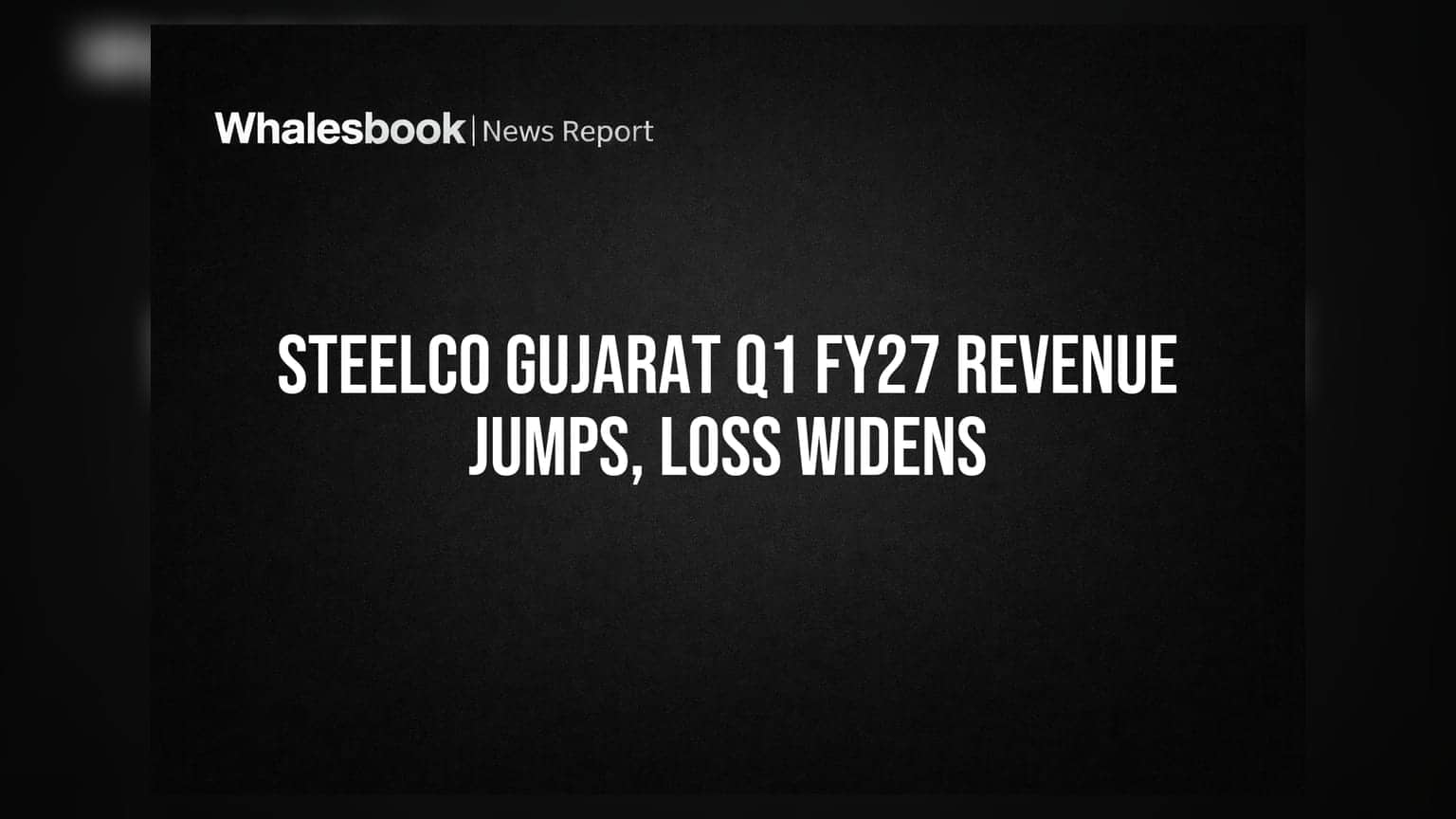 Steelco Gujarat: આવક soared, પણ નુકસાન વધ્યું! નવા ઓડિટર અને ડિરેક્ટરની નિમણૂક