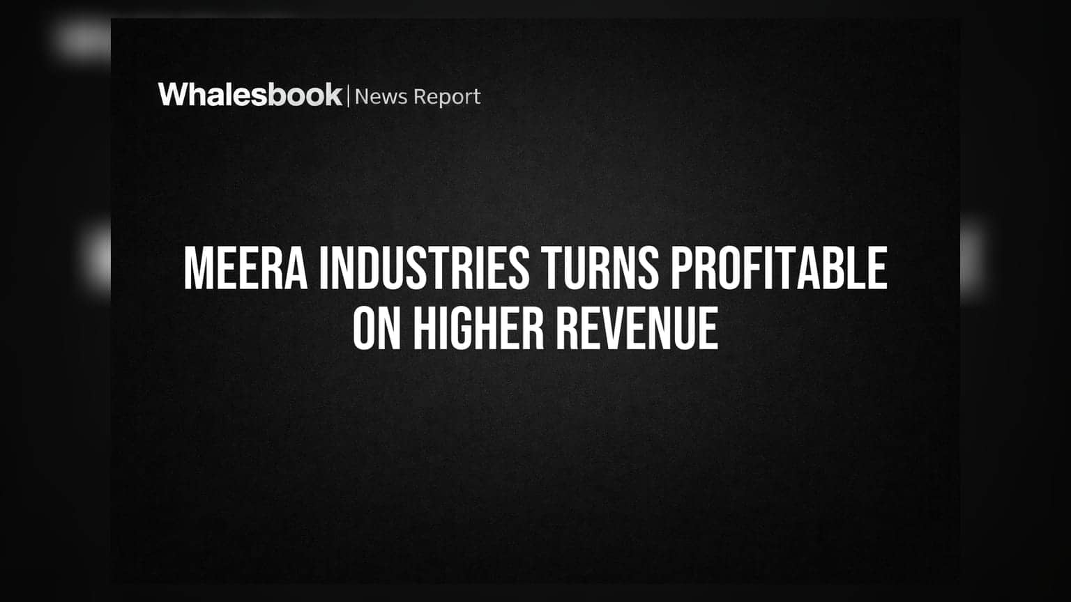 Meera Industries Share Price: નુકસાનમાંથી નફામાં કંપની, આવક પણ વધી, નવા ઓડિટરની નિમણૂક