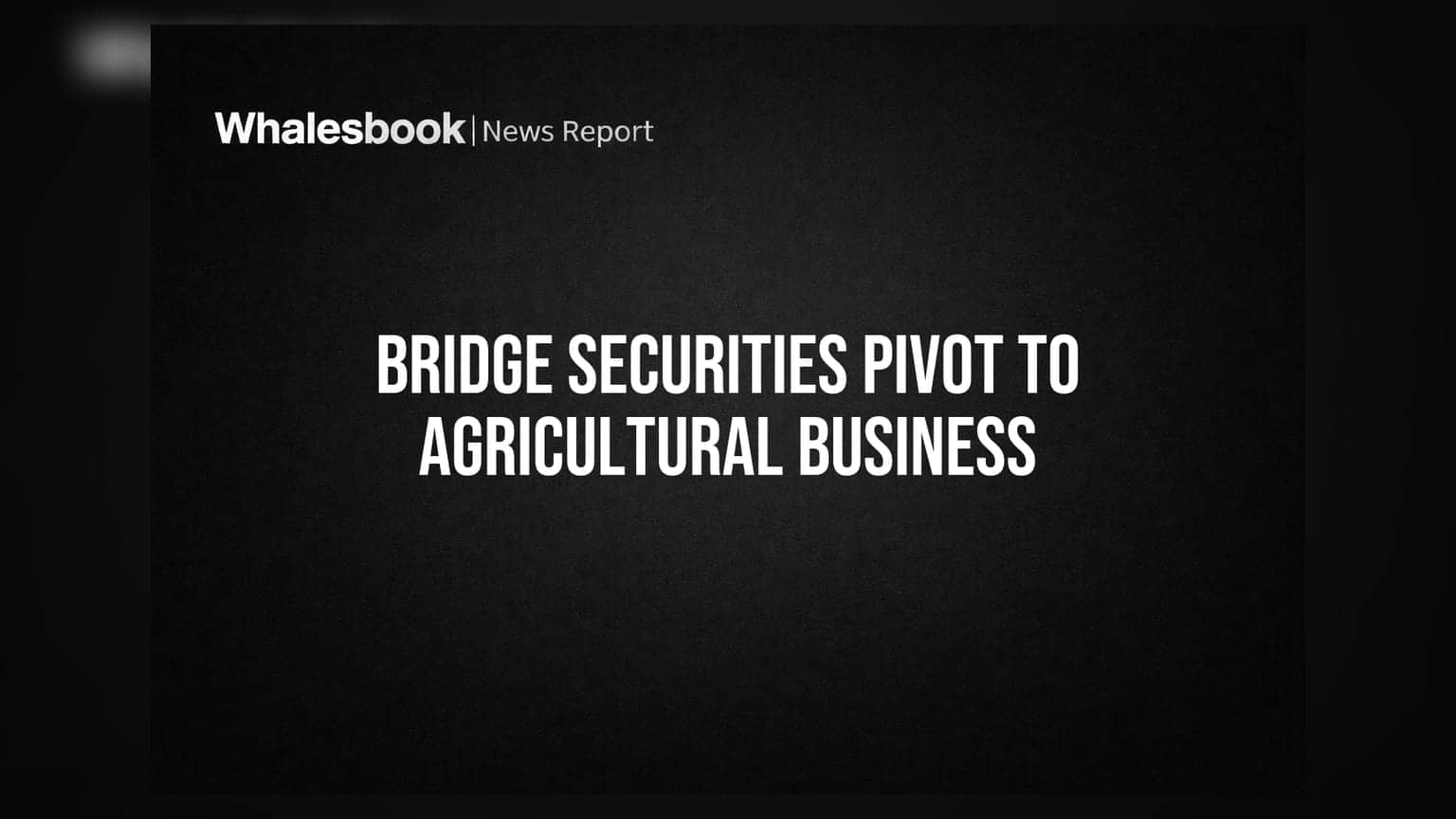 Bridge Securities: હવે બદલાશે કંપનીનું નામ! Finance છોડીને Agri-Businessમાં કરશે એન્ટ્રી