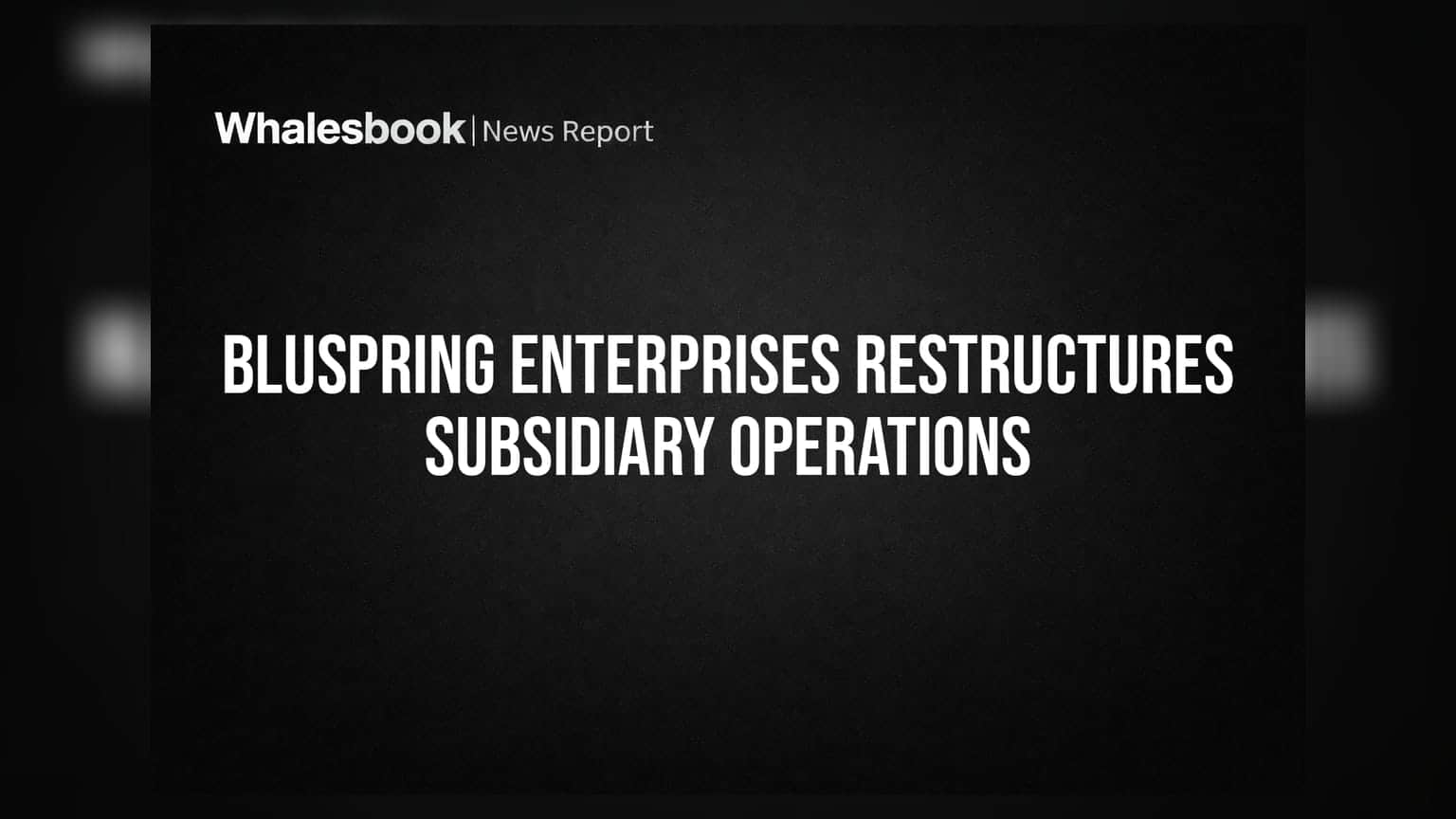 Bluspring Enterprises का बड़ा कदम: दो सब्सिडियरी कंपनियों के मर्जर को मिली मंजूरी