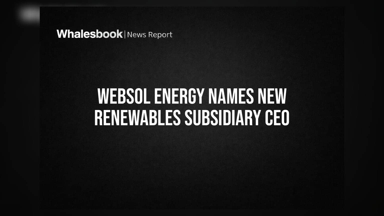 Websol Energy Appoints Vinay Vyas as CEO of Websol Renewables Subsidiary