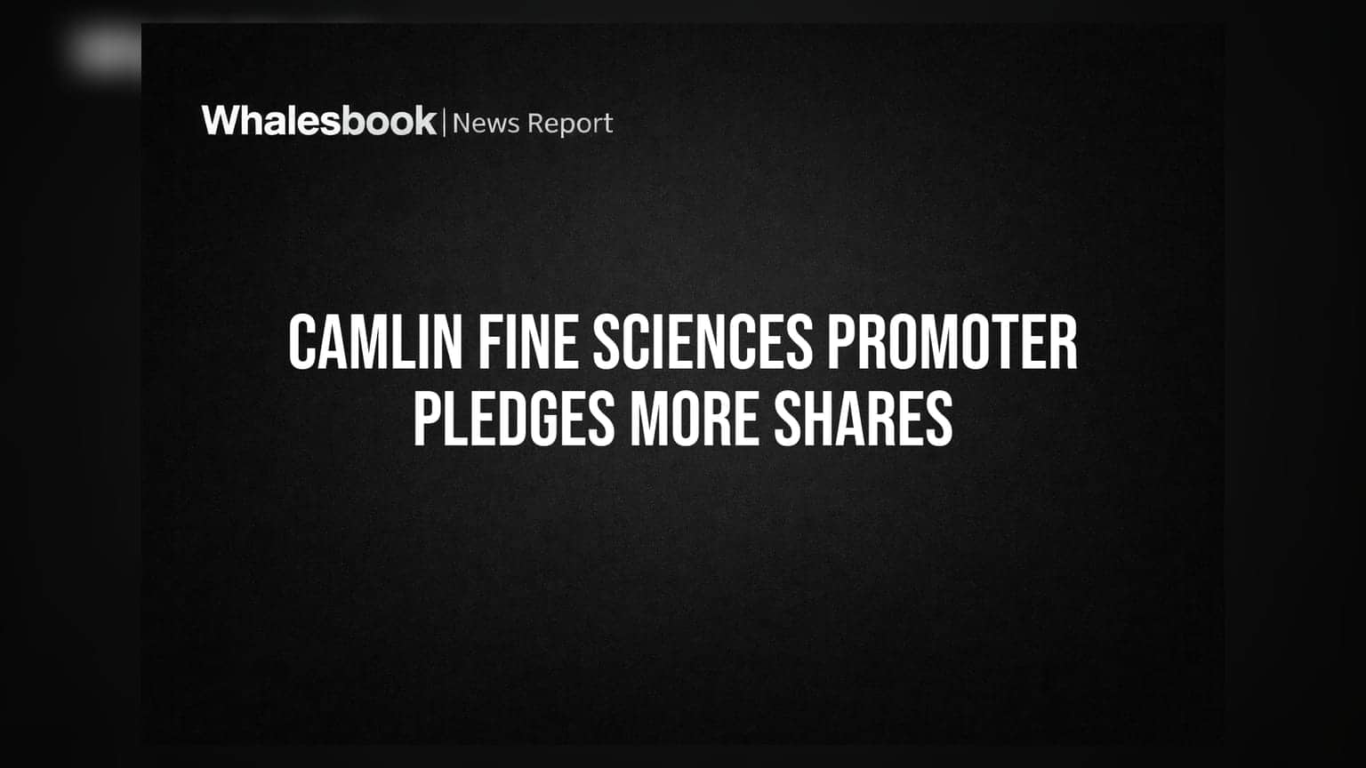 Camlin Fine Sciences Promoter Pledges Additional 13.6 Lakh Shares