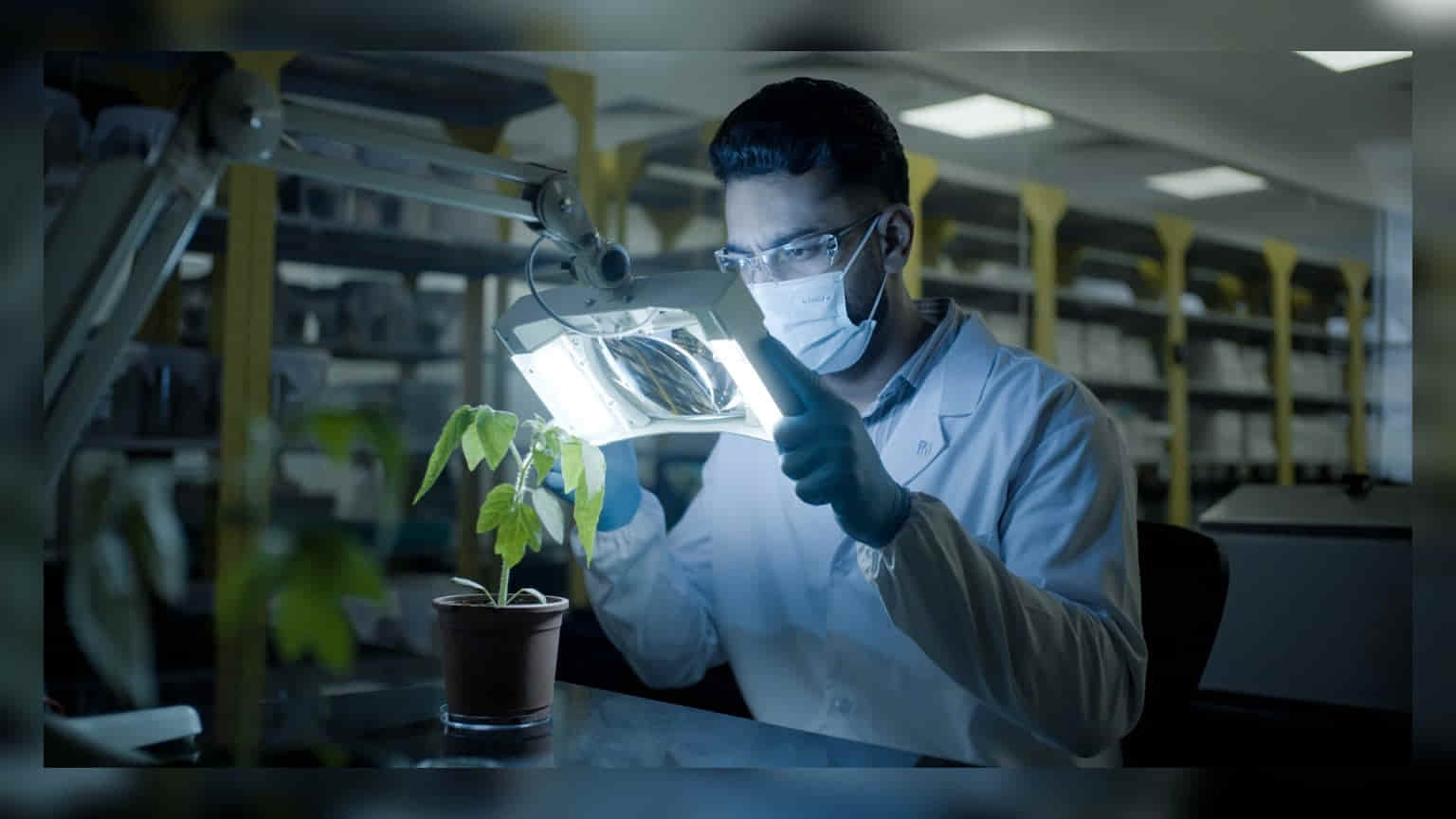 PI Industries Unveils 'Pioxaniliprole', Its First Patented Insecticide