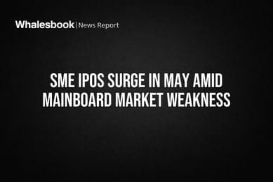 SME IPOs Surge in May Amid Mainboard Market Weakness