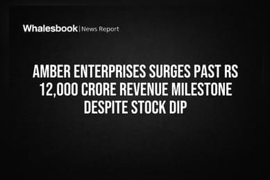 Amber Enterprises: Record Revenue, But Cash Flow Woes Hit Stock