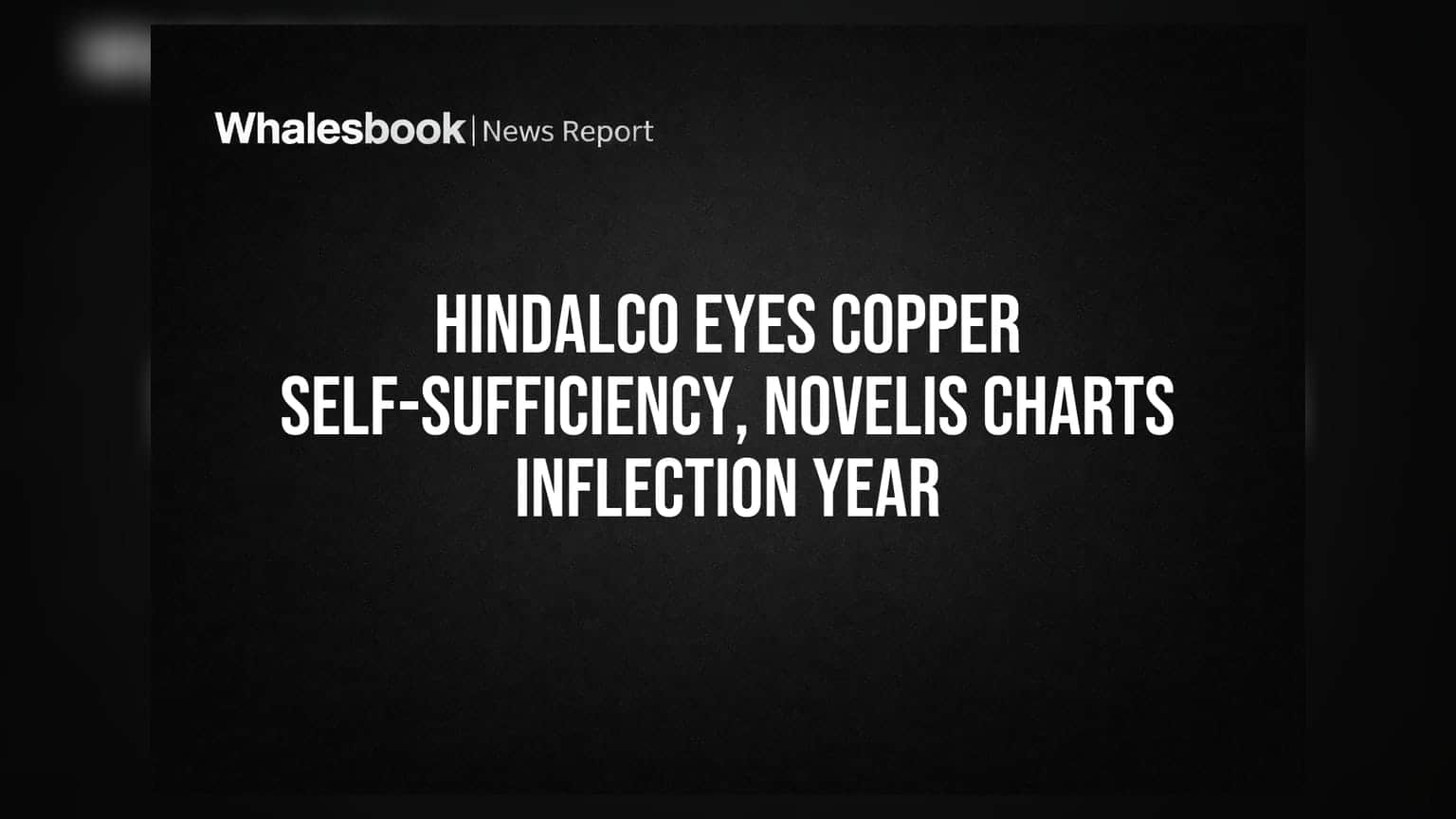 Hindalco Share Price: रेकॉर्ड महसूल, पण नफ्यात मोठी घसरण! नोव्हेलिसच्या आगीचा फटका