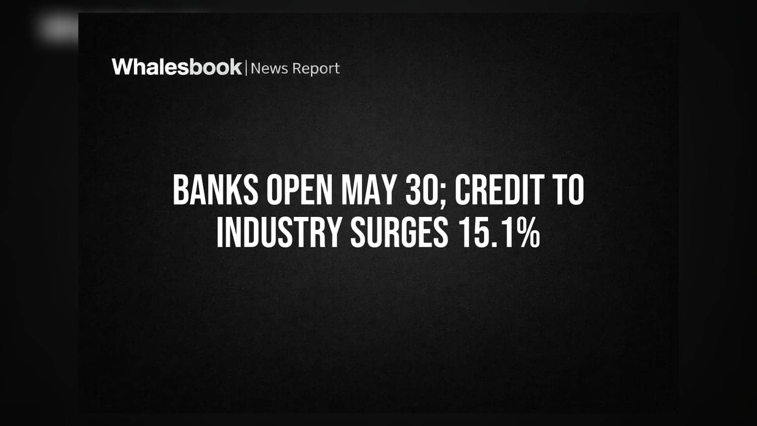 Credit Surge Masks Structural Risks in Industrial Lending