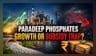 Paradeep Phosphates Growth Path Faces Subsidy & Input Hurdles