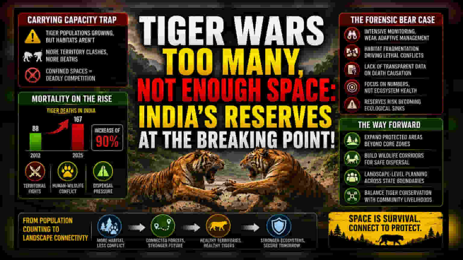 India’s Tiger Success Story Faces a Lethal Capacity Crisis