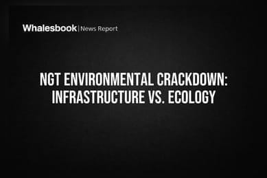 NGT Environmental Crackdown: Infrastructure vs. Ecology