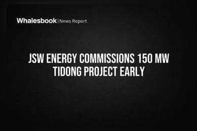 JSW Energy Commissions 150 MW Tidong Project Early