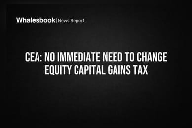 CEA: No Immediate Need to Change Equity Capital Gains Tax