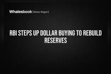RBI Steps Up Dollar Buying to Rebuild Reserves
