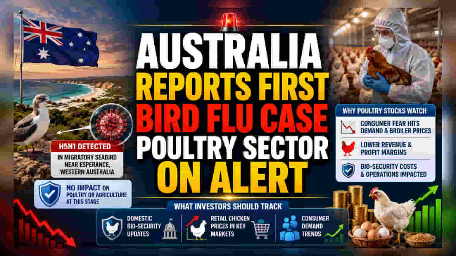 H5N1 பறவைக் காய்ச்சல் ஆஸ்திரேலியா கண்டத்தை அடைந்தது! இந்திய கோழிப்பண்ணை துறைக்கு என்ன பாதிப்பு?