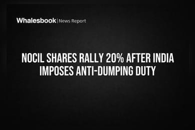 NOCIL Shares Rally 20% After India Imposes Anti-Dumping Duty