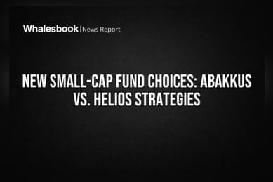 New Small-Cap Fund Choices: Abakkus vs. Helios Strategies