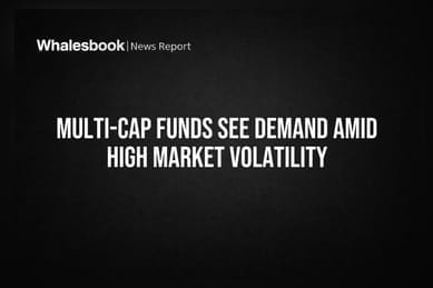 Multi-Cap Funds See Demand Amid High Market Volatility