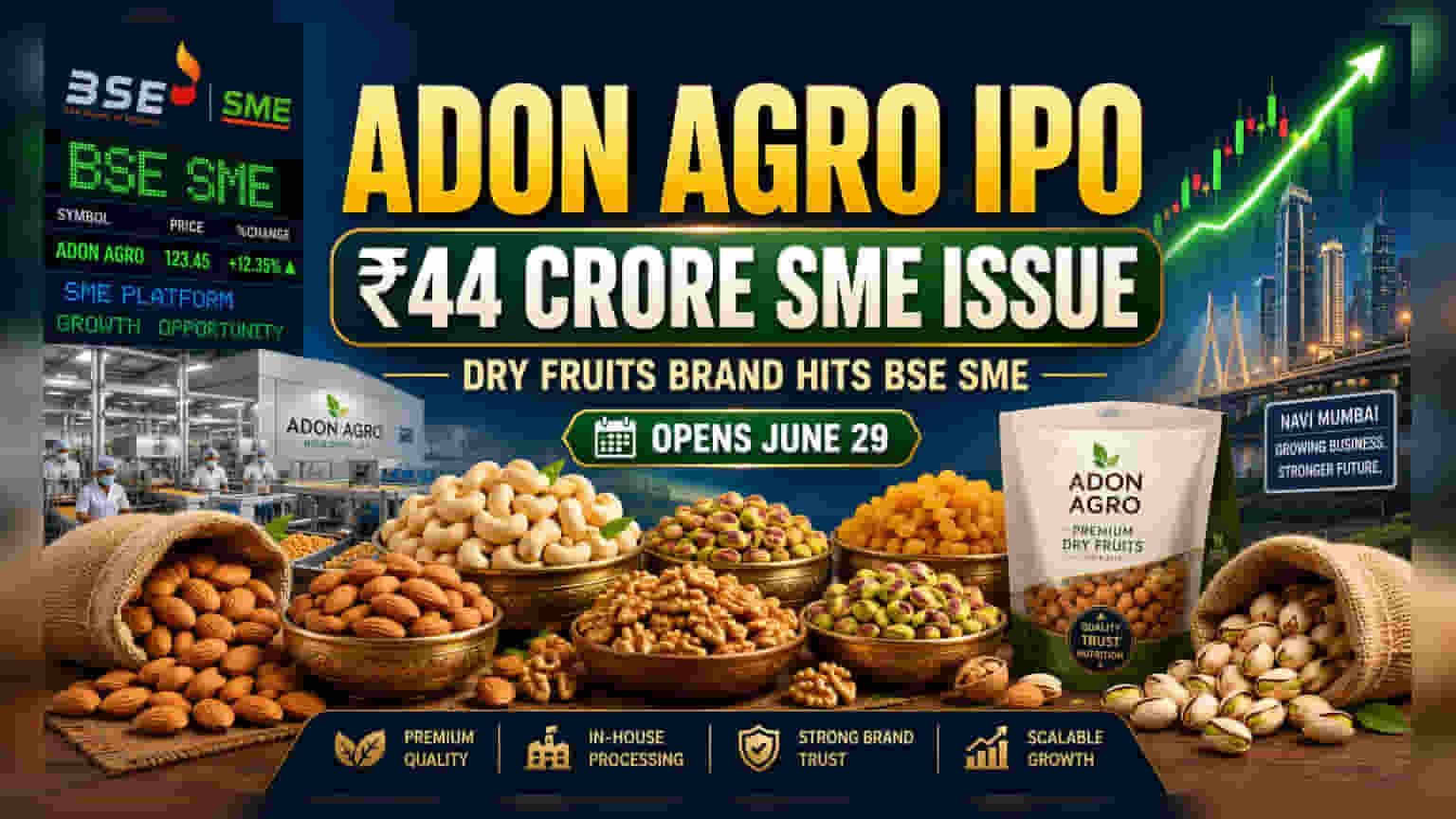 Adon Agro Commodities IPO: ₹44 કરોડનું ફંડ રેઈઝિંગ, 29 જૂને ખુલશે, જાણો ભાવ અને જોખમો