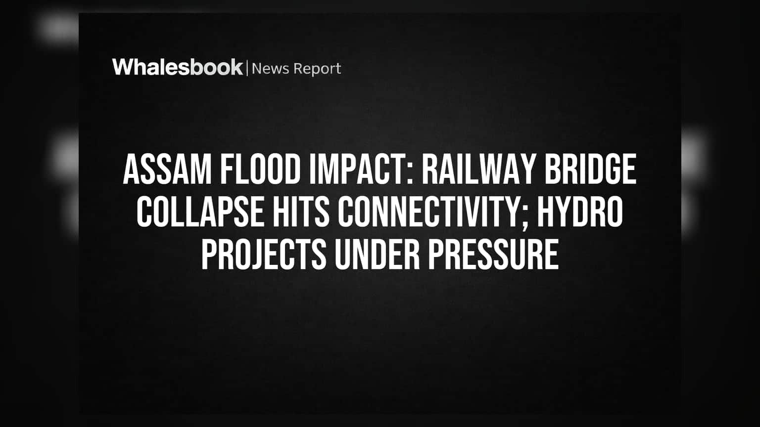 Assam Floods: రైల్వే బ్రిడ్జి కూలిపోవడంతో రాకపోకలకు అంతరాయం.. హైడ్రో ప్రాజెక్టులపై ఆందోళన