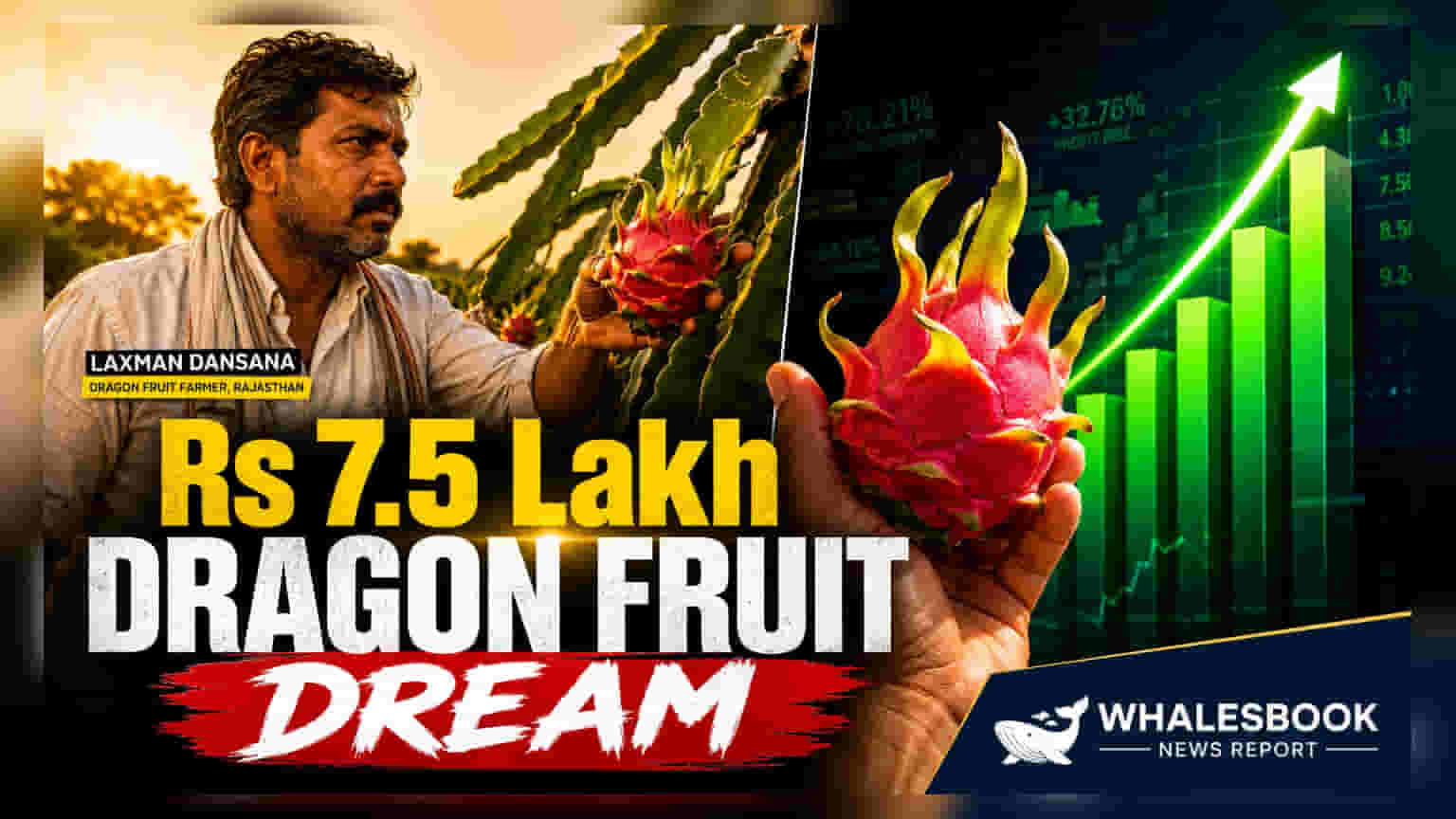 ઓડિશાના ખેડૂતની અનોખી કમાલ! 0.25 એકરમાં ડ્રેગન ફ્રૂટ ઉગાડી વાર્ષિક ₹7.5 લાખની કમાણી