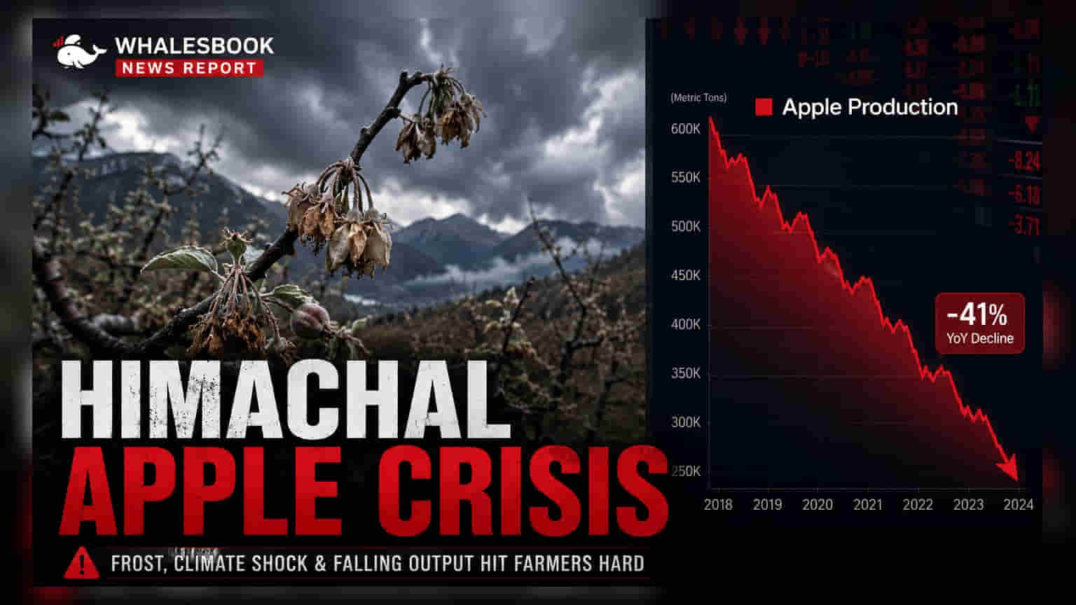 Himachal Apple Update: వాతావరణం దెబ్బతో ఉత్పత్తి **40%** తగ్గుదల!