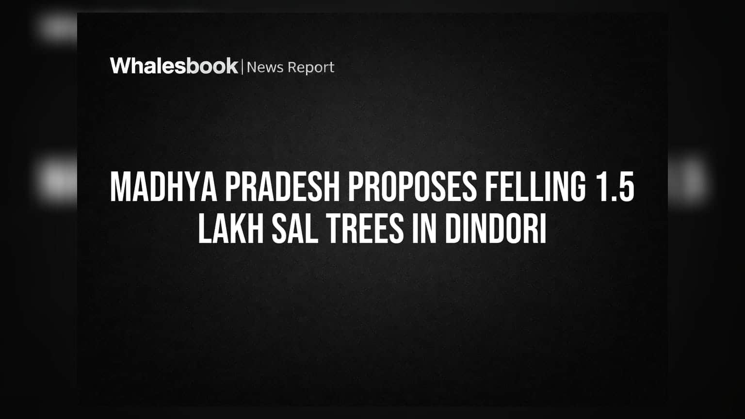 Madhya Pradesh News: कीटों के प्रकोप से 1.5 लाख साल के पेड़ कटेंगे! जानिए क्या है पूरा मामला