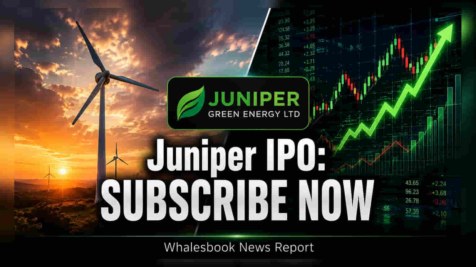 Juniper Green Energy IPO: ₹1,800 कोटींचा IPO येतोय, गुंतवणुकीआधी जाणून घ्या महत्त्वाचे मुद्दे