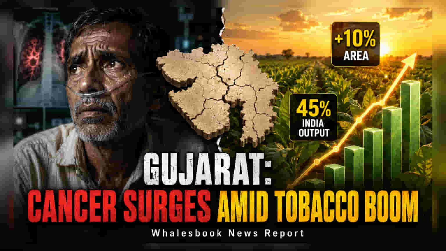 Gujarat Tobacco Output Rises 10% Amid Rising Lung Cancer Cases