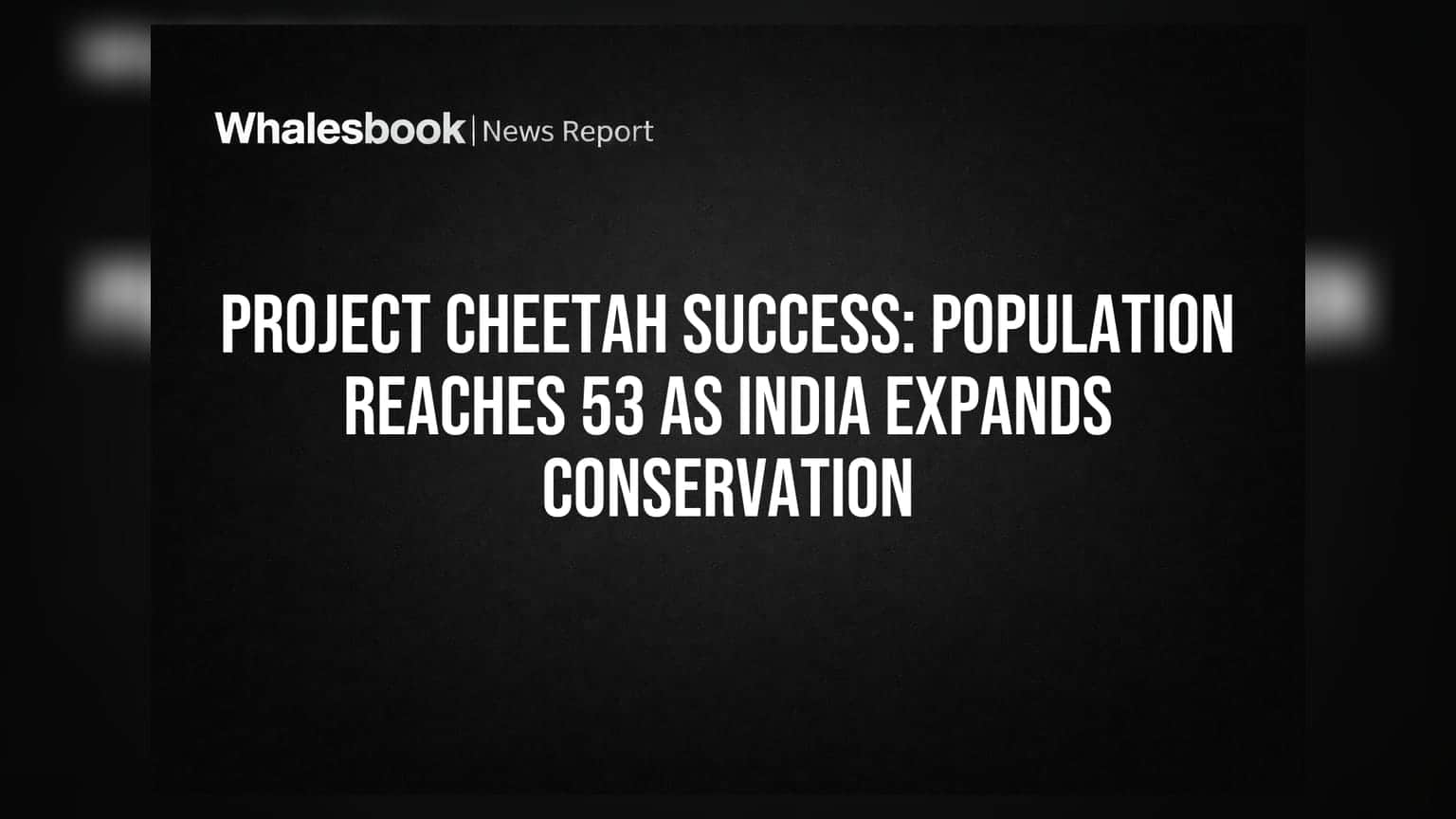 Project Cheetah: ਚੀਤਿਆਂ ਦੀ ਗਿਣਤੀ 53 ਤੱਕ ਪਹੁੰਚੀ, ਭਾਰਤ ਨੇ ਵਧਾਈ ਸੰਭਾਲ ਦੀ ਪਹੁੰਚ