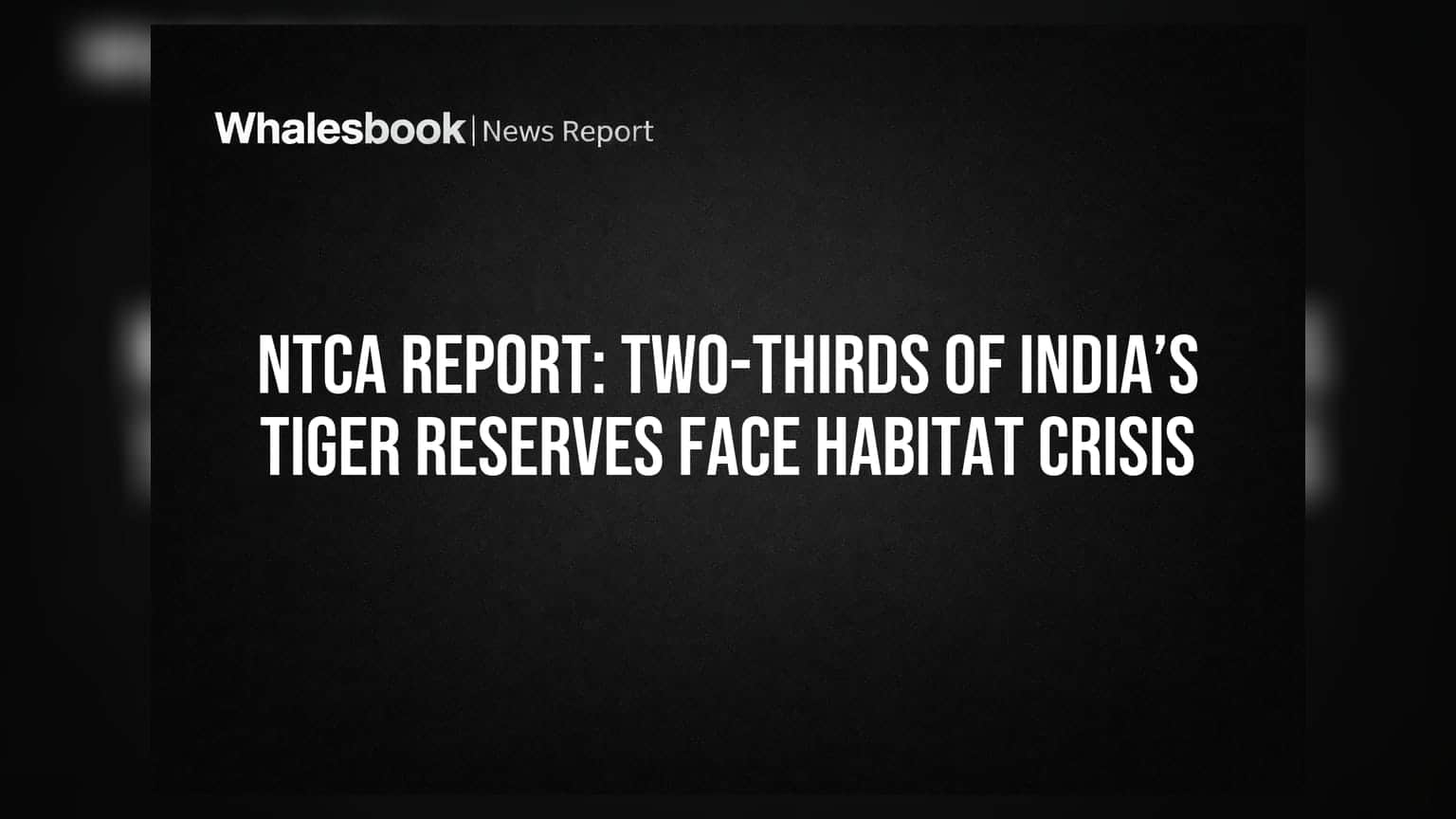 NTCA रिपोर्ट: भारत के 58 में से 38 टाइगर रिजर्व में गंभीर संकट, शिकार की कमी या खराब हैबिटेट | जानें क्यों