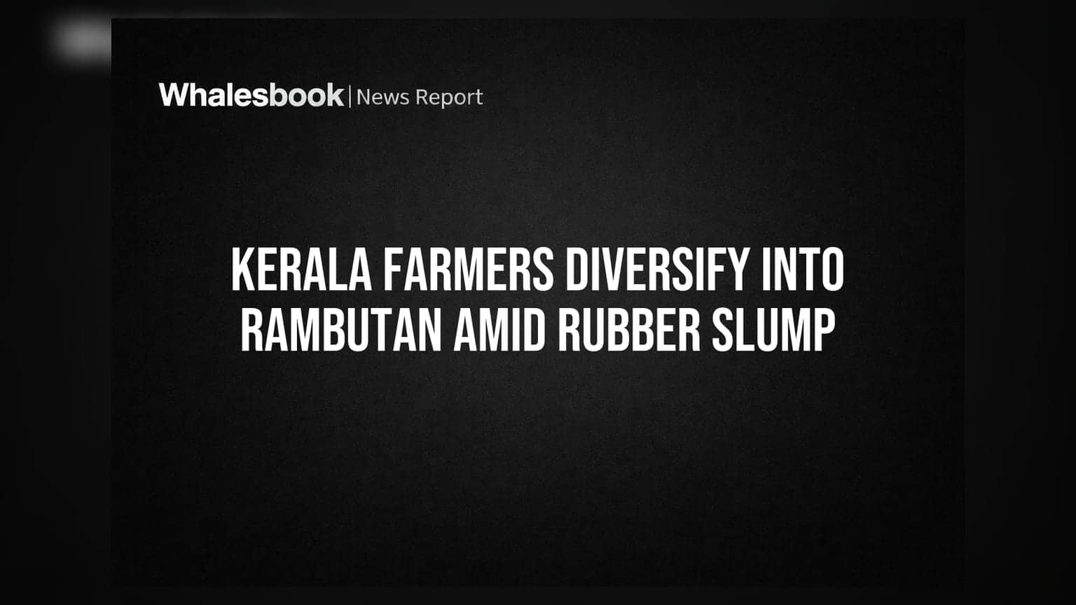Kerala Farmers Diversify into Rambutan Amid Rubber Slump