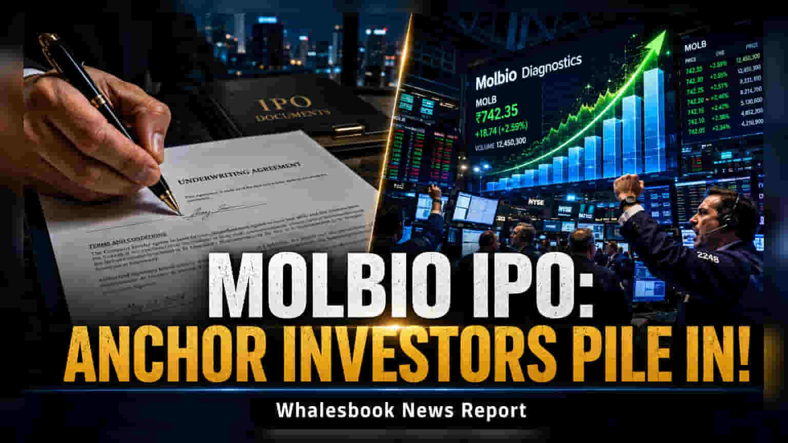 Molbio Diagnostics IPO: એન્કર રોકાણકારો પાસેથી ₹281 કરોડ એકત્ર, ₹807ના ભાવે શેરની ફાળવણી