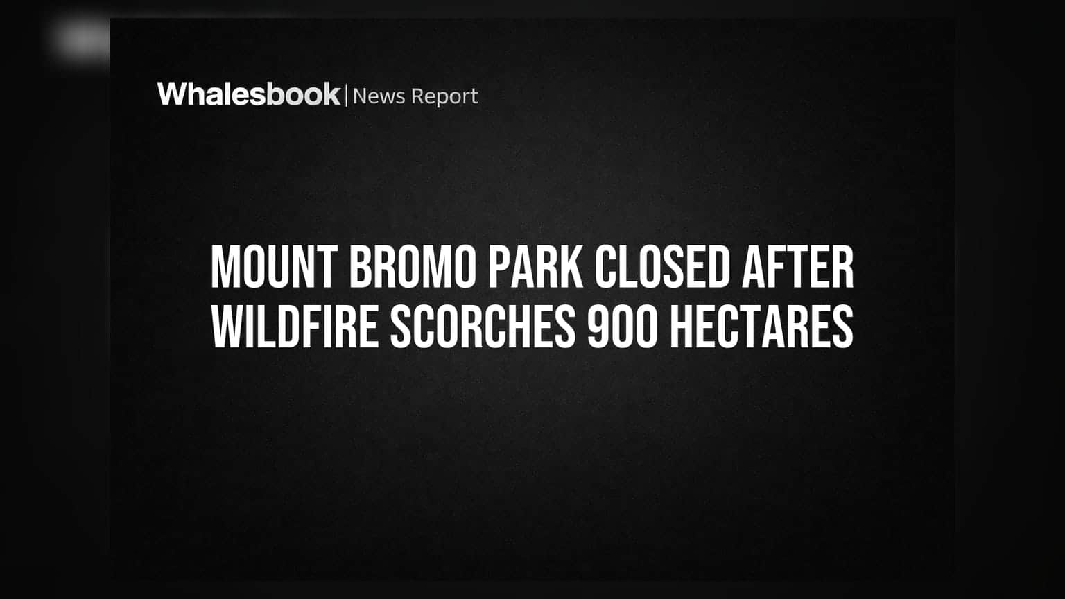 Mount Bromo Park Closed After Wildfire Scorches 900 Hectares