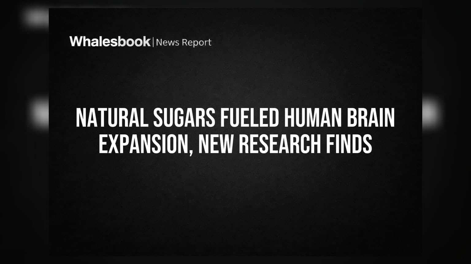 Natural Sugars Fueled Human Brain Expansion, New Research Finds
