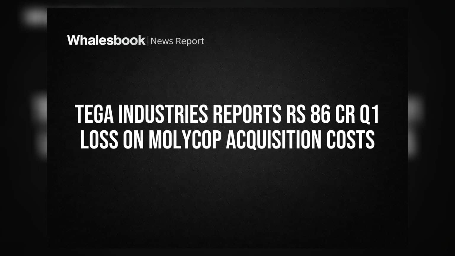 Tega Industries Reports Rs 86 Cr Q1 Loss on Molycop Acquisition Costs