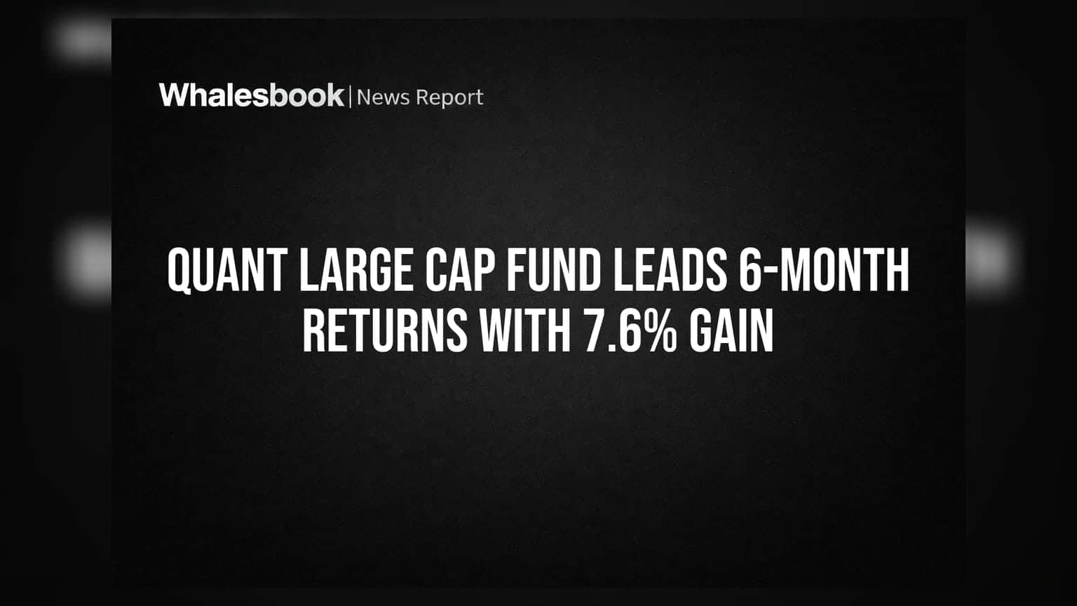 Quant Large Cap Fund: 6 నెలల్లో టాప్.. కానీ రిస్క్ మాత్రం 'చాలా ఎక్కువ'!