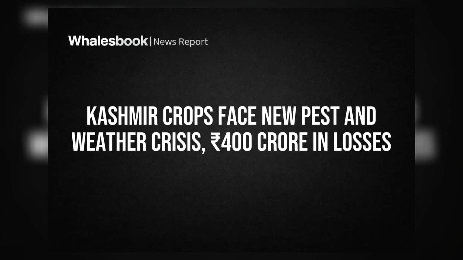 Kashmir పంటలకు పెనుముప్పు: కొత్త పురుగులు, వాతావరణం దెబ్బతో ₹400 కోట్ల నష్టం!