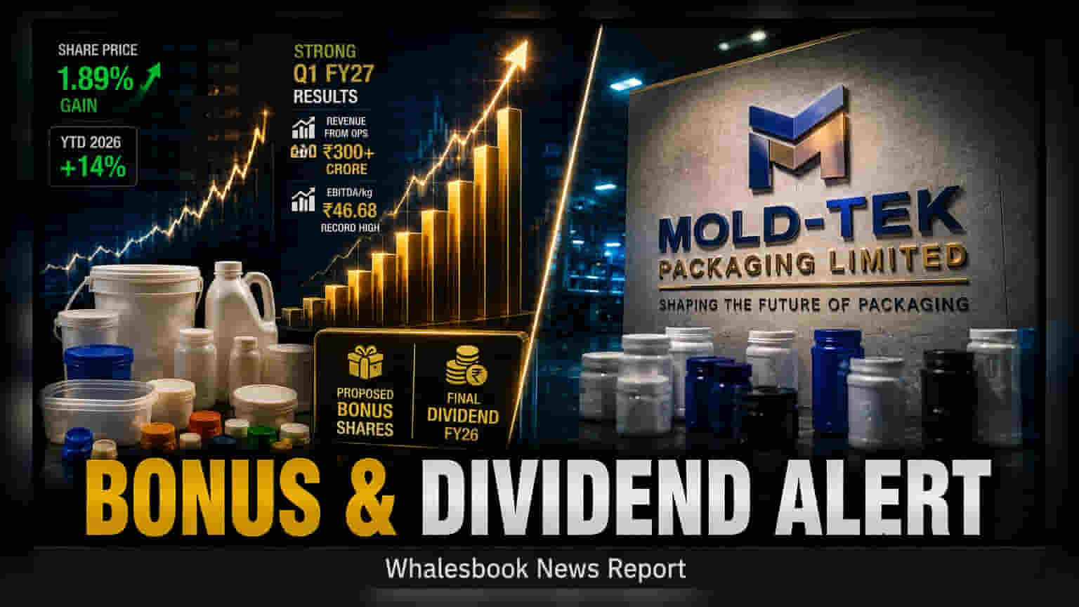 Mold-Tek Packaging to Weigh Bonus Issue, Final Dividend on Aug 26