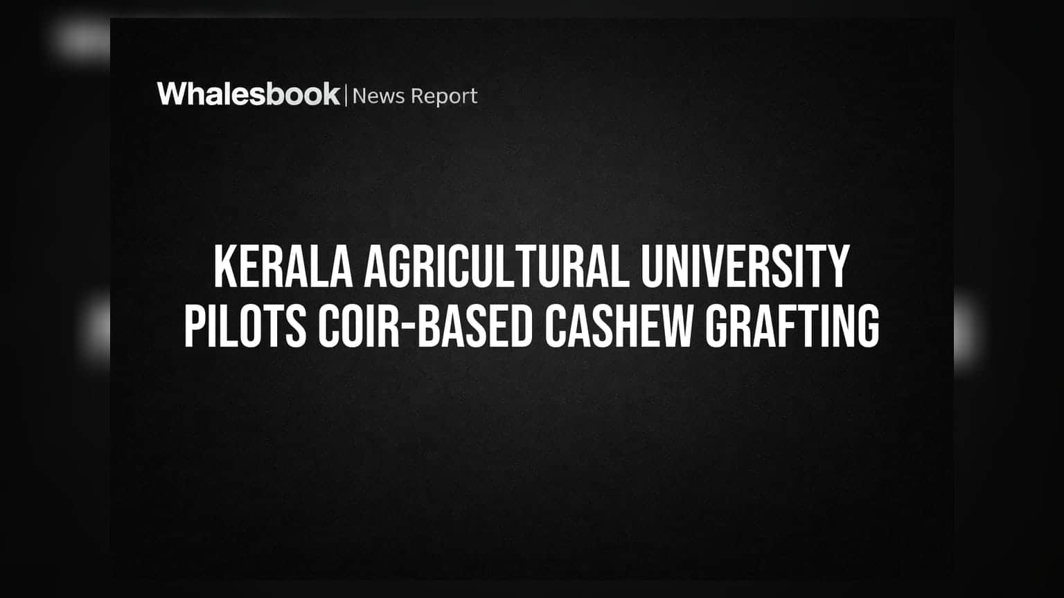 Kerala Agricultural University Pilots Coir-Based Cashew Grafting