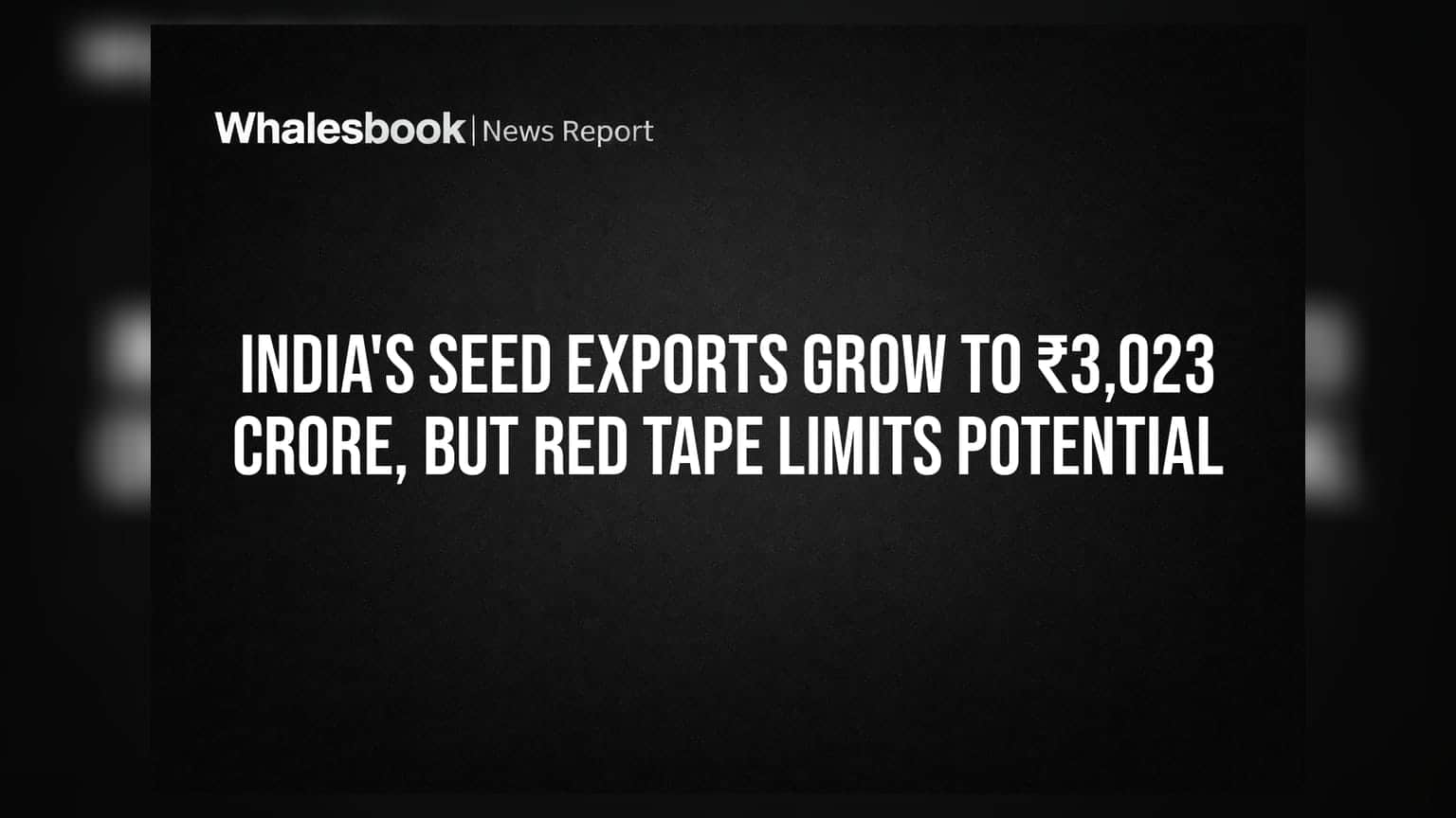 India's Seed Exports Grow to ₹3,023 Crore, But Red Tape Limits Potential
